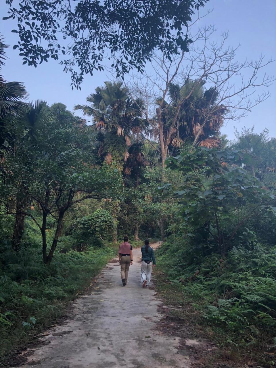 Bikki'S Jungle Homestay 河江 外观 照片