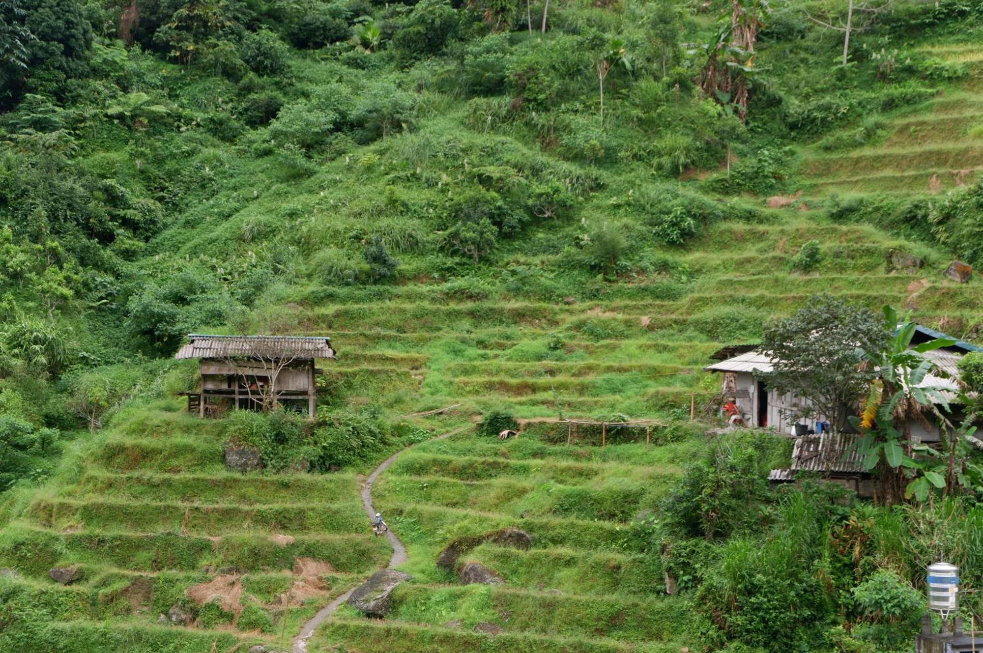 Bikki'S Jungle Homestay 河江 外观 照片