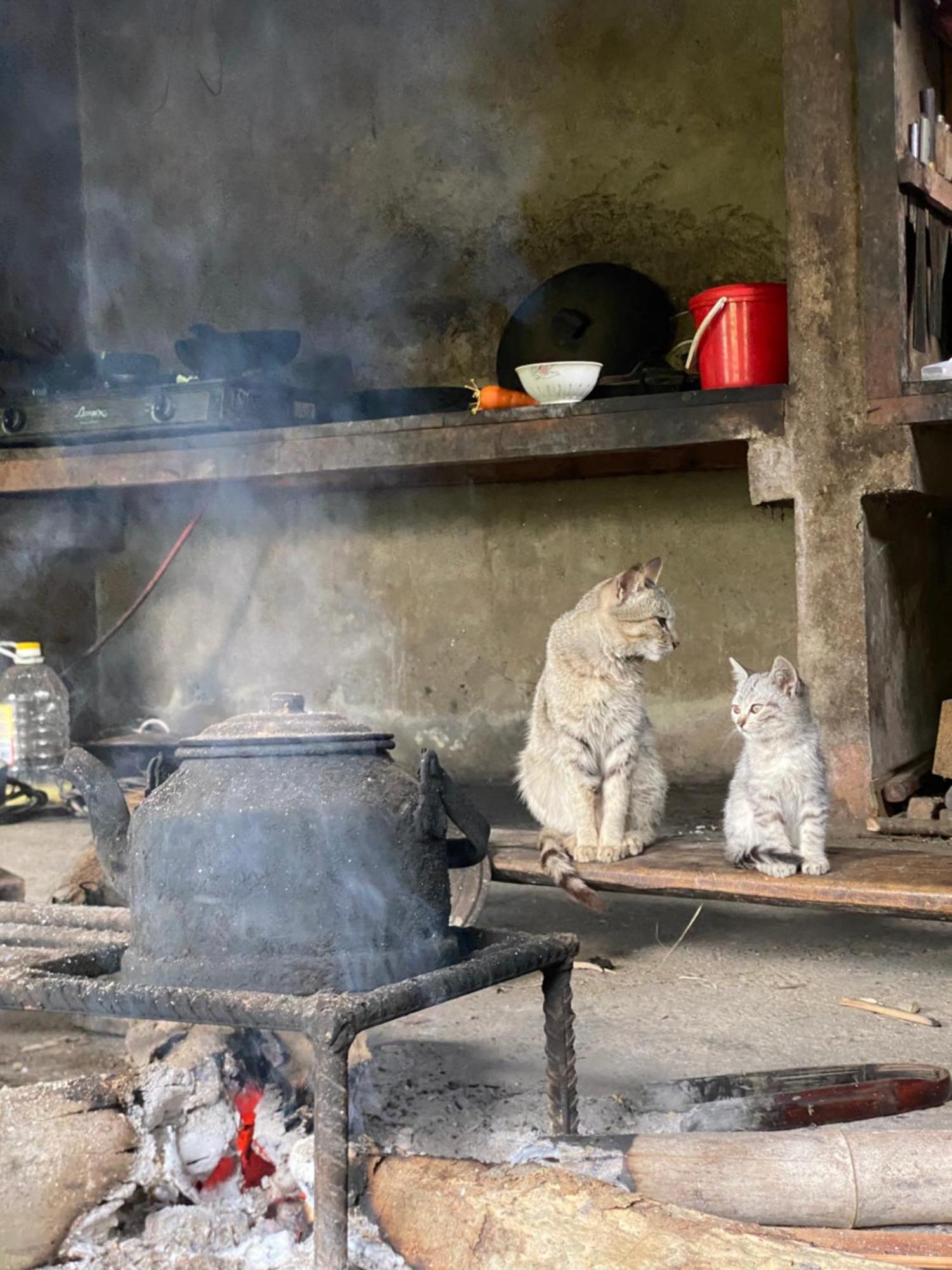 Bikki'S Jungle Homestay 河江 外观 照片