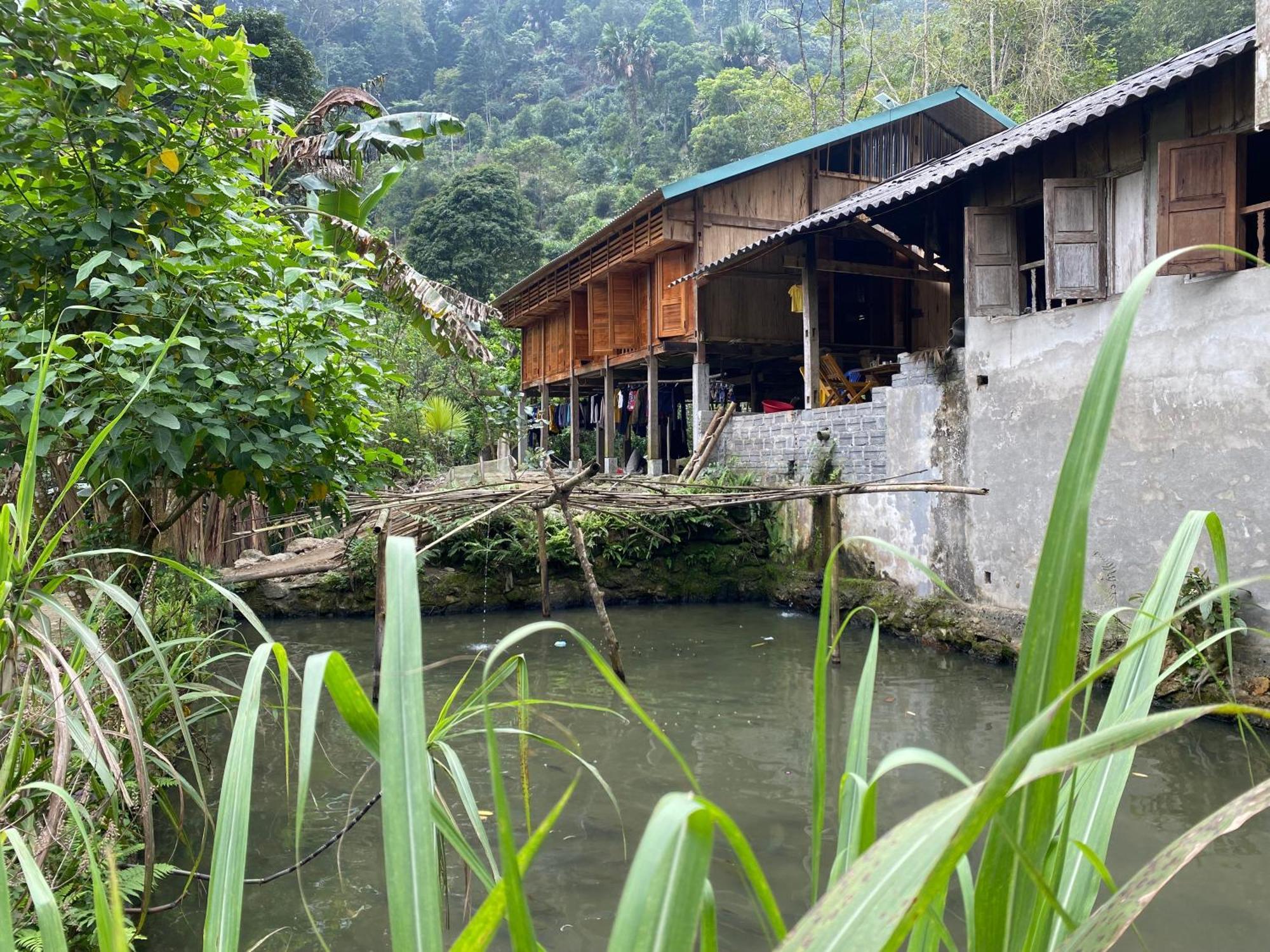 Bikki'S Jungle Homestay 河江 外观 照片