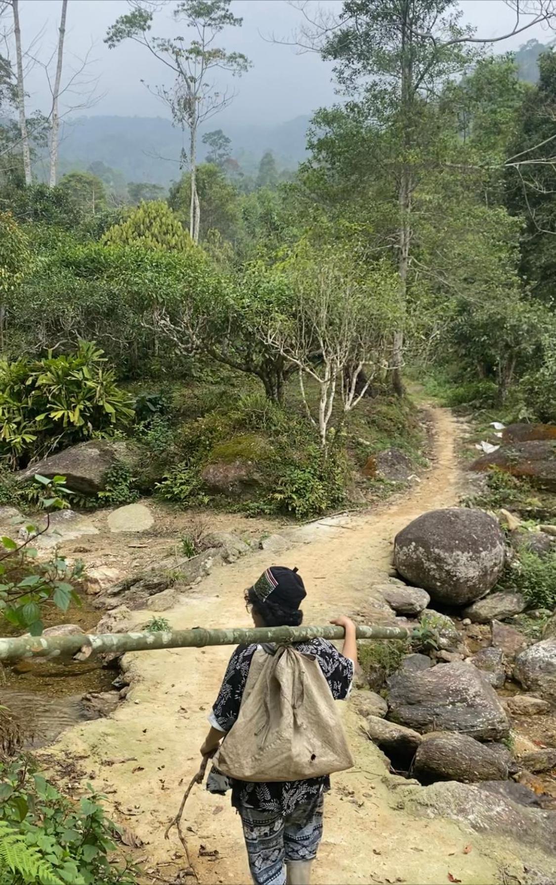 Bikki'S Jungle Homestay 河江 外观 照片