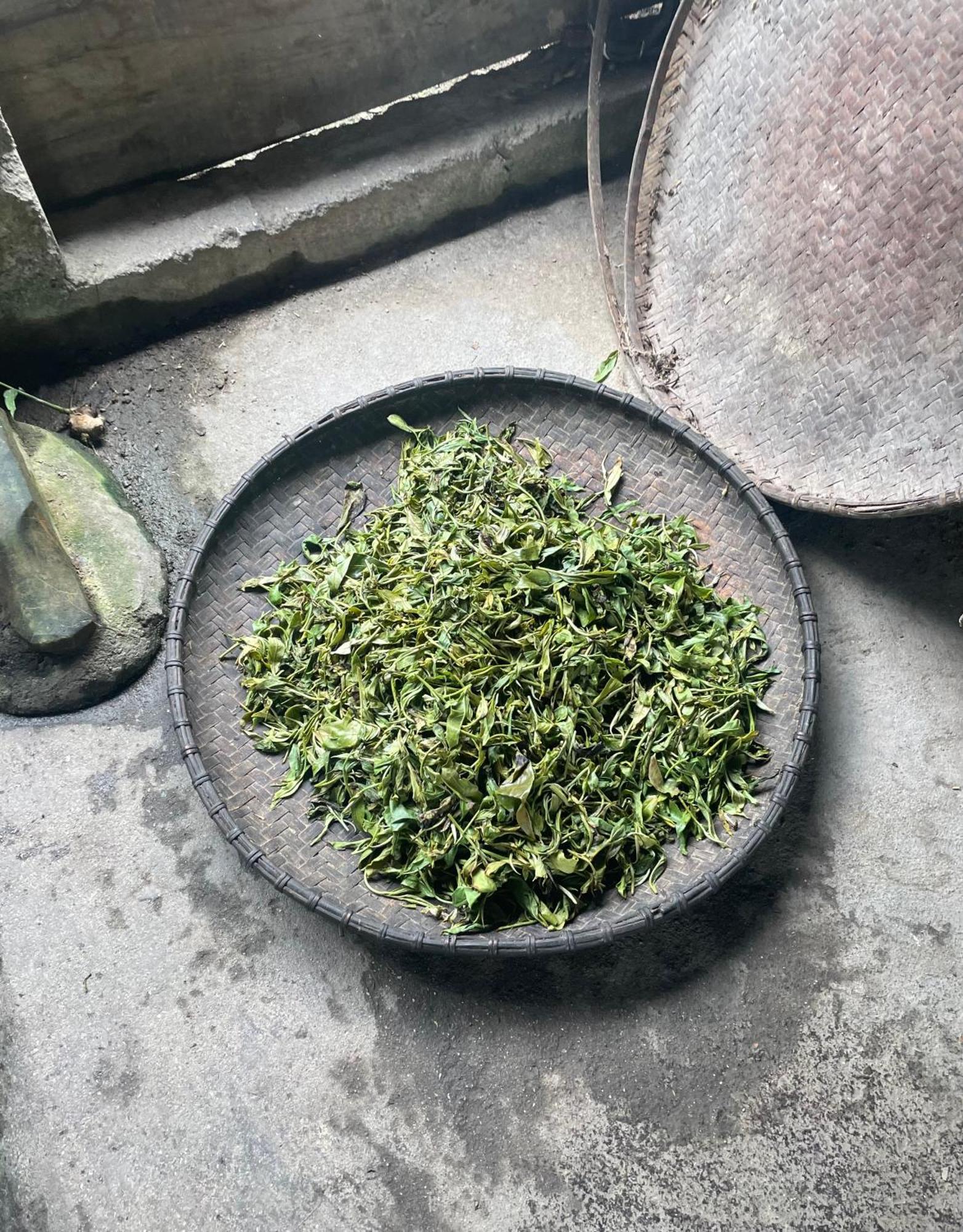 Bikki'S Jungle Homestay 河江 外观 照片