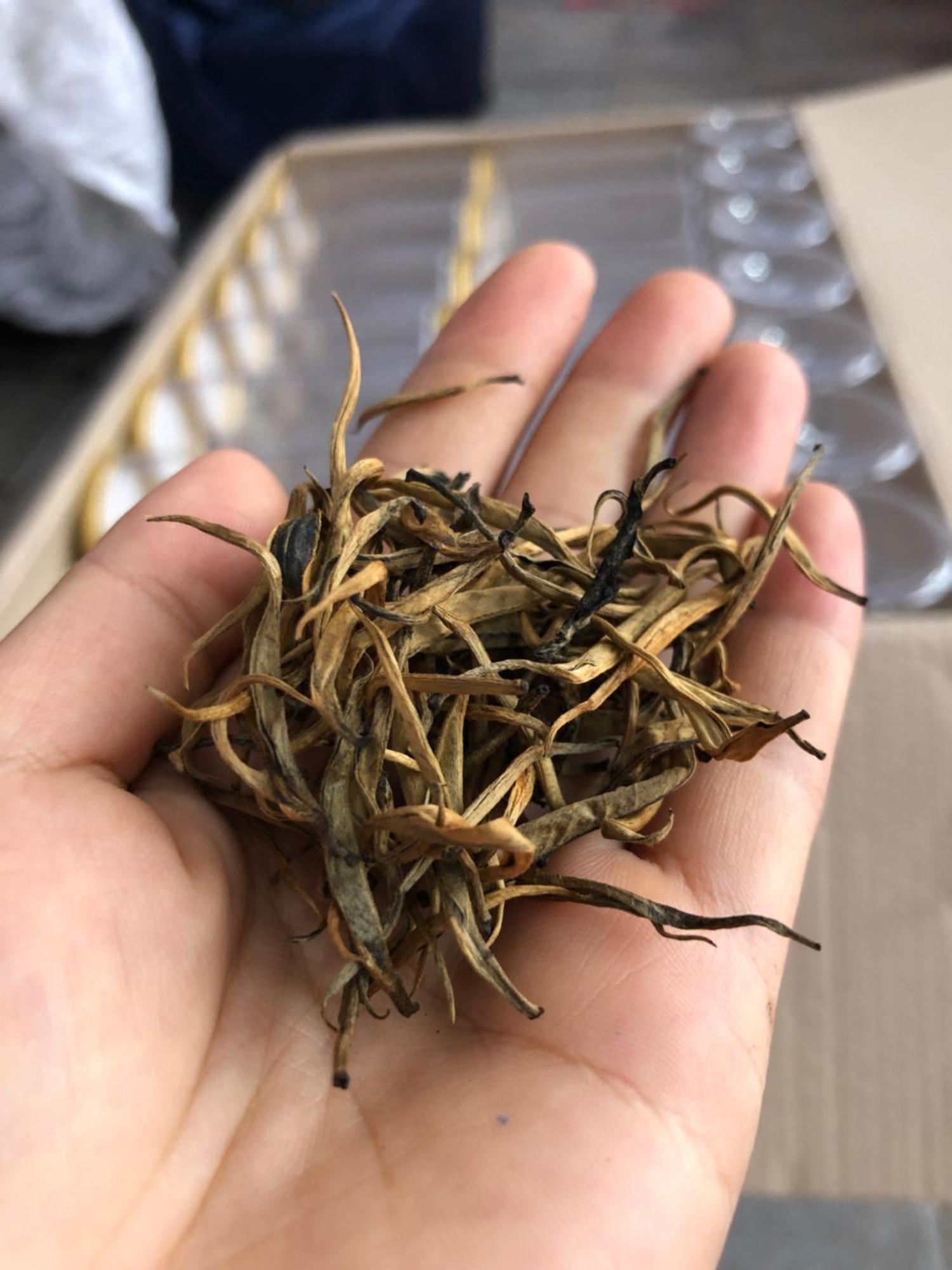 Bikki'S Jungle Homestay 河江 外观 照片