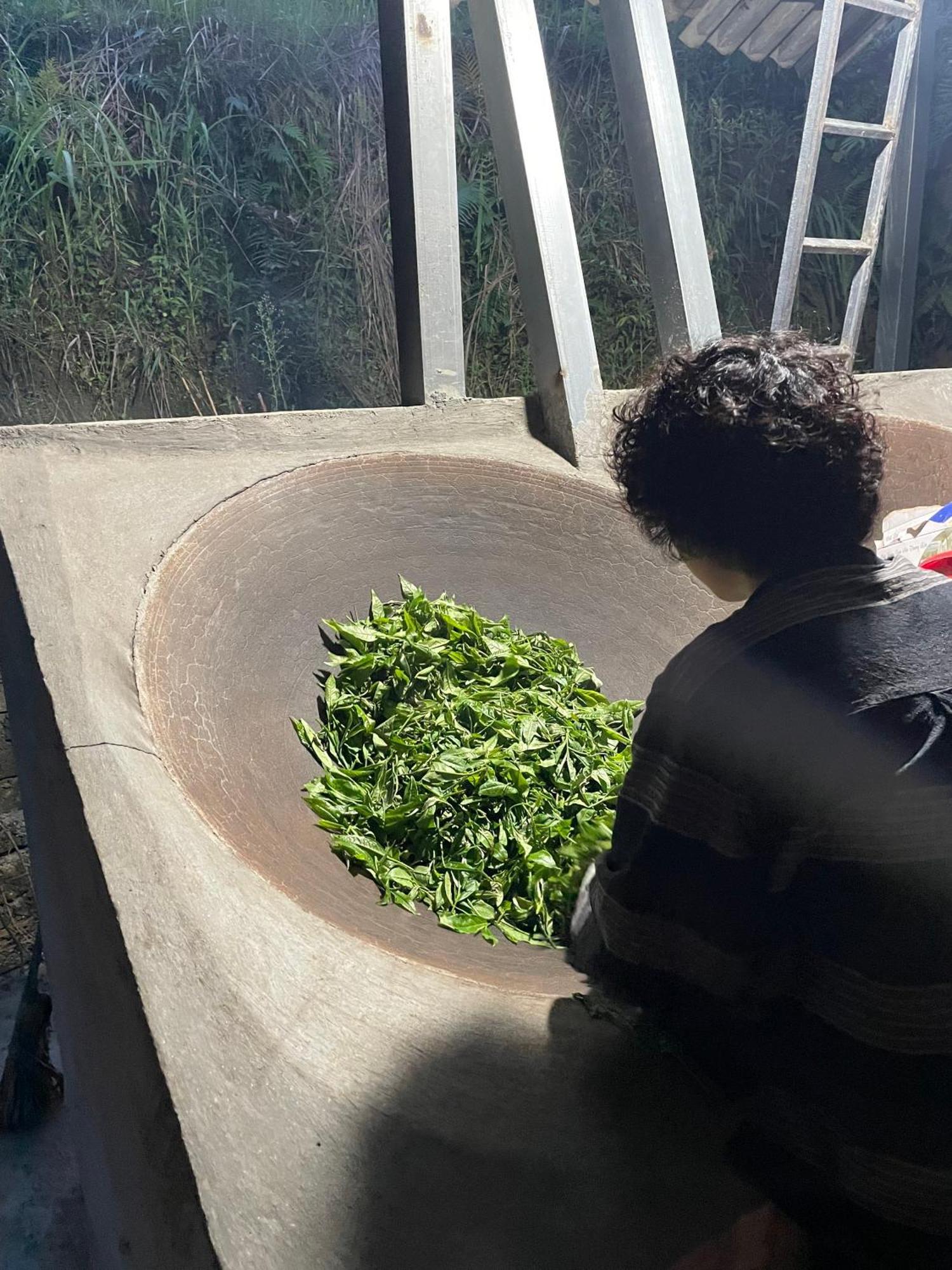 Bikki'S Jungle Homestay 河江 外观 照片